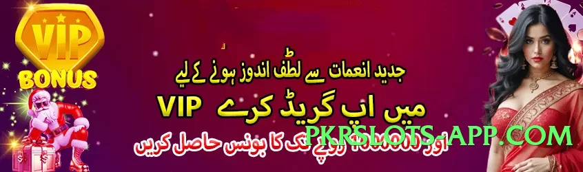 pkwin Plus v5.2.0 Screenshot 4